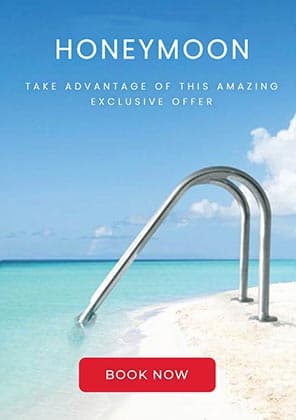 Honey Moon - for a life time